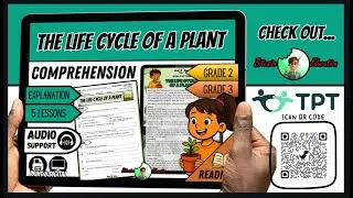 The Life Cycle of a Plant | From Seed to Flower Explained