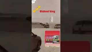 Bishnoi Andolan in jodhpur Rajasthan #bishnoi #powerful #king #Monu #bishnoi