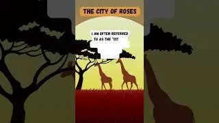 🤔 African Cities🚀 #riddles #UnlockTheUnknown #BrainPuzzle #RiddleSolvers