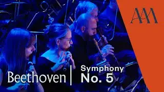 Beethoven's Symphony No. 5, Allegro