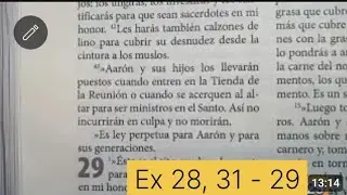 Lectura de la Biblia de Navarra en 1 a&ntilde;o (36) Ex 28, 31 - 29 Sal XXXII Mt 23, 1 - 36 CCXI 05022025