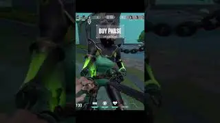 New Viper Update??