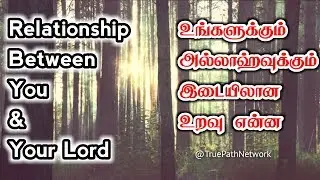 Relationship Between You and Allah | அல்லாஹ்விற்கும் உங்களுக்குமான உறவு | True Path Network