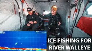 River Walleyes (Want to come ice fishing with me?)