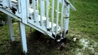 Wood Decay (WDO) Wood Decay Fungi .mpg