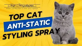 How to Use Chris Christensen Top Cat Anti Static Spray