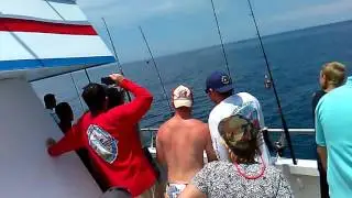 Sailfish caught on the Orlando Princess