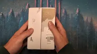 MTG Graded Beta Haul!