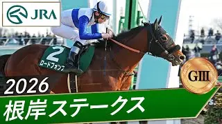 2026年 根岸ステークス（GⅢ） | 第40回 | JRA公式
