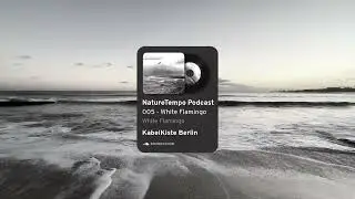 ETHNIC ANCESTRAL DOWNTEMPO - NaturTempo Podcast 005 - White Flamingo (Live Set) @ Kablekiste Berlin