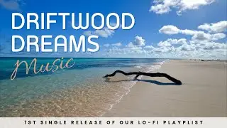 The Lo-Fi Single You'll Play on Repeat - Driftwood Dreams || Single Release No. 001