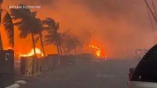 Hawaii Wildfires