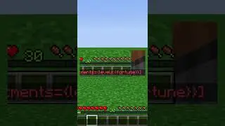 How To Get Fortune 1000 in Minecraft 1.21 💎 #shorts