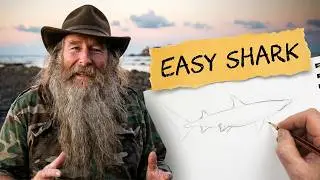 How to Draw a Shark - White-Tip  Reef Shark (Beginner-intermediate)