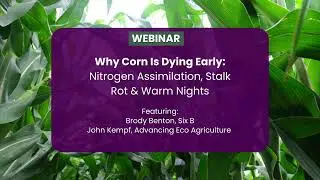Why Corn Is Dying Early: Nitrogen Assimilation, Stalk Rot & Warm Nights | John Kempf & Brody Benton