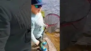 Isoin hauki koskaan 2023 #foryou #fishing #best #funny