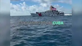 &iexcl;Caballo en Camino a Cuba! &iexcl;Lo Encontramos Cerca de Bahamas! #shorts