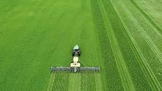 No Tilling Organic Corn Into Alfalfa
