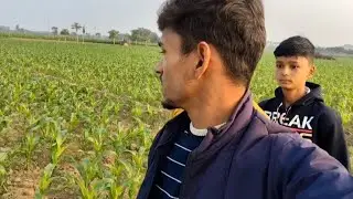 Hmara kela koi kiun kat liya