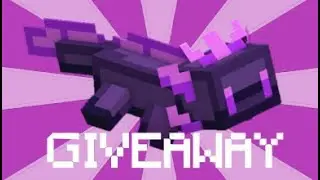 Hive Pet Giveaway (ENDED)