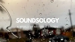 3 Hours of Gentle Rain Sounds on Car Window- Relaxing Calm Rain For Sleeping, Meditation, Study