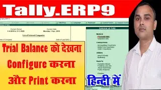 Trial Balance Report Show, Configure and Print | Tally Tutorial |