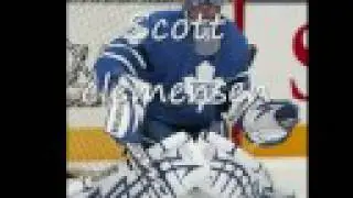 The Toronto Maple Leafs Goalies
