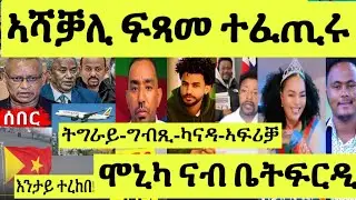 ጽጹይ ሓበሬታ/ ኣሻቓሊ ፍጻመታት/ ትግራይ ኣየር/ ግብጺ ሓበሻ/ ካናዳ ዶ ኣፍሪቓ/ ሞኒካ ናብ ቤትፍርዲ