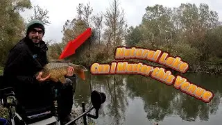 Wild Water Match Fishing for Silvers & Carp &ndash; Natural Lake