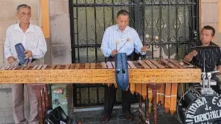 Yo No Fui-Marimba Orquesta Estrella de Tapachula