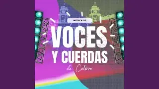 No es mi señora