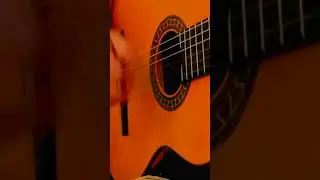 Arriba Arriba Andale Arriba