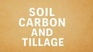 702 Soil Tillage and Carbon