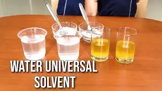 Why Water  is called  Universal solvent Science Experiment