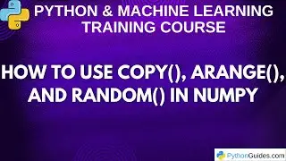 How to Use copy(), arange(), and random() in NumPy