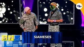 Los Siameses tienen un problema, el teniente perdió la memoria