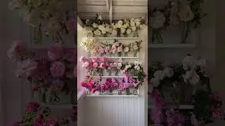 A study in old European roses.