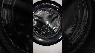 washing cat beds