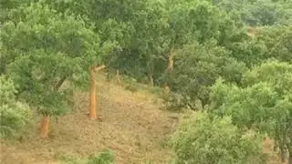 GDR Sierra de Aracena y Picos de Aroche (parte 2/2)