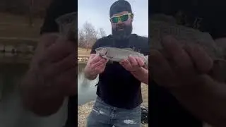 @BearballzOutdoors #fishing #outdoors #trout #short#dirty