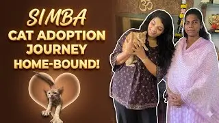Tiny Simba Finds His Forever Home 🏡🐾