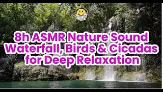 8h ASMR Nature Sounds  Waterfall, Birds & Cicadas for Deep Relaxation,-PET RELAXATION SOUND
