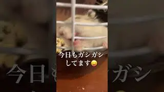 歯が痒い・7日目