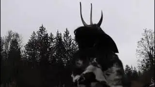 Stoa Riegl Gfrasta Krampustrailer 2022