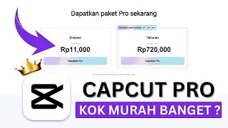 Cara Beli Capcut Pro Murah