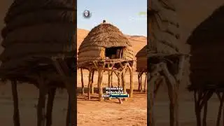 rumah tradisional suku nyangatom #tradisi #culture #traditional  #fyp #aivideo #ai