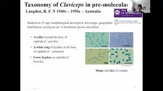 Mindy Liu: Genetic diversity of ergot fungi: species, populations and ergot alkaloids