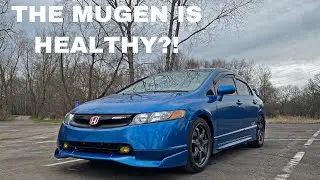 Mugen FA5 vs Boosted LSV Civic