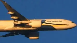 MSC Air Cargo B-777-F (02)
