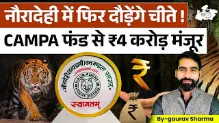 Madhya Pradesh में लौटे चीते! | नौरादेही में फिर दौड़ेंगे चीते! | CAMPA Fund से ₹4 करोड़ की मंजूरी🔥